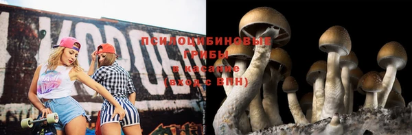 метадон Бородино