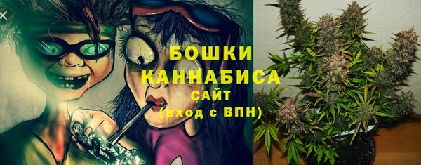 ГАЛЛЮЦИНОГЕННЫЕ ГРИБЫ Богородицк