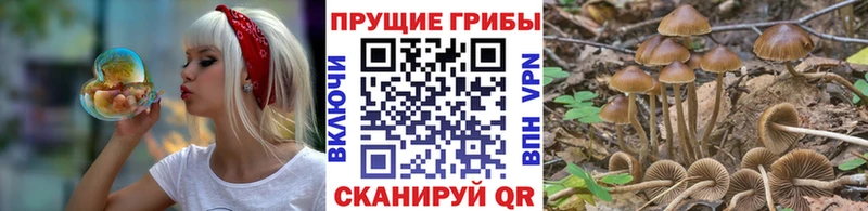 Псилоцибиновые грибы ЛСД  купить  сайты  Медногорск 